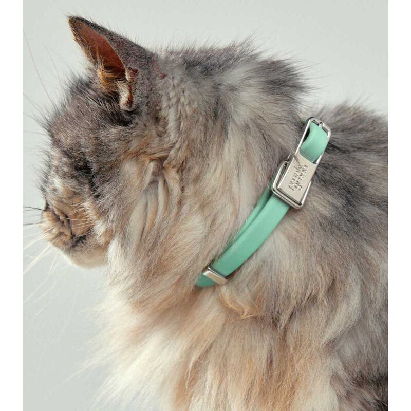 frank green Pet Collar + Name Tag Small Mint Gelato image number 1